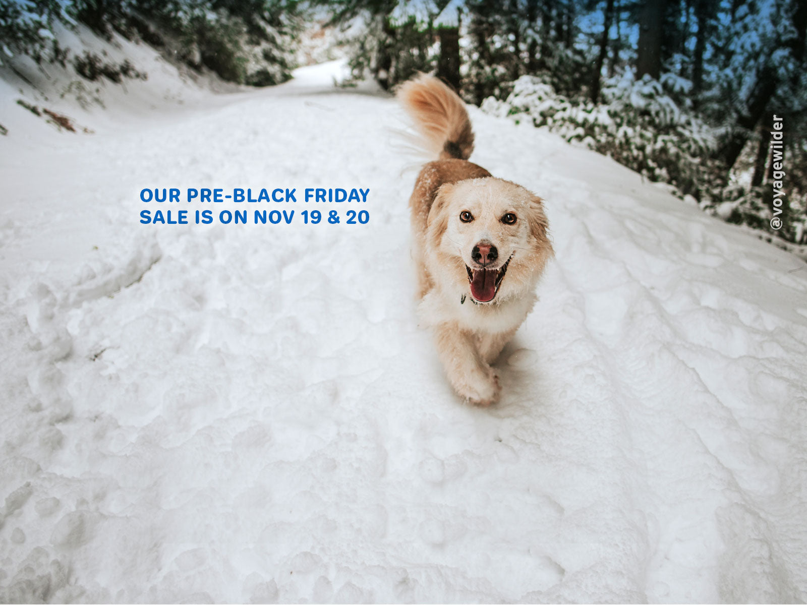 Our BIGGEST Sale of the Year