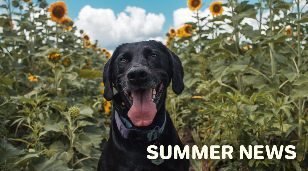 August 2021 Newsletter