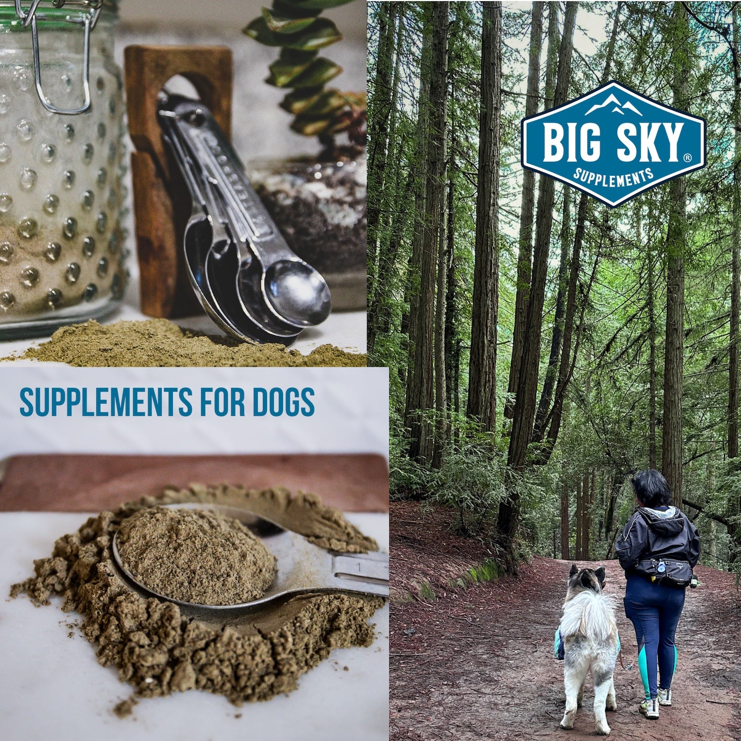 All Natural Herb supplements for healthy dog holistic health