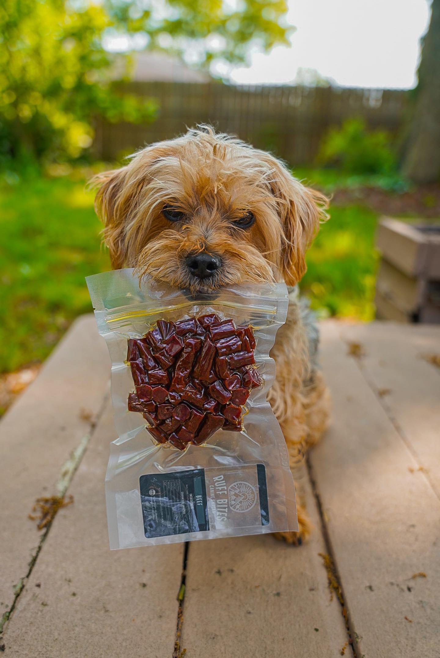 RUFF BITES