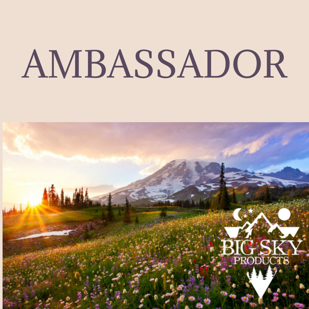 AMBASSADOR