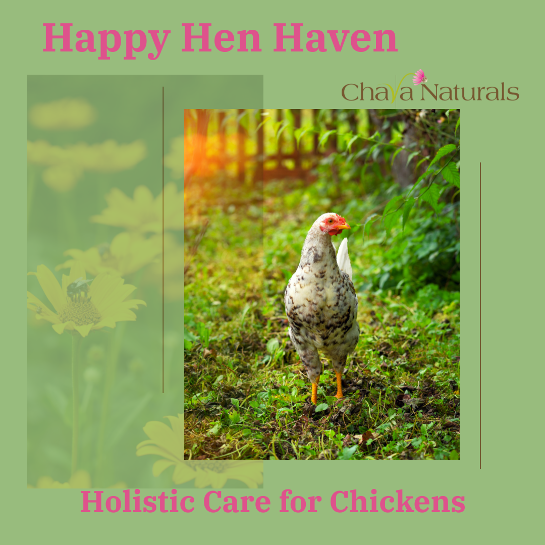 Herb Mixes for Chickens