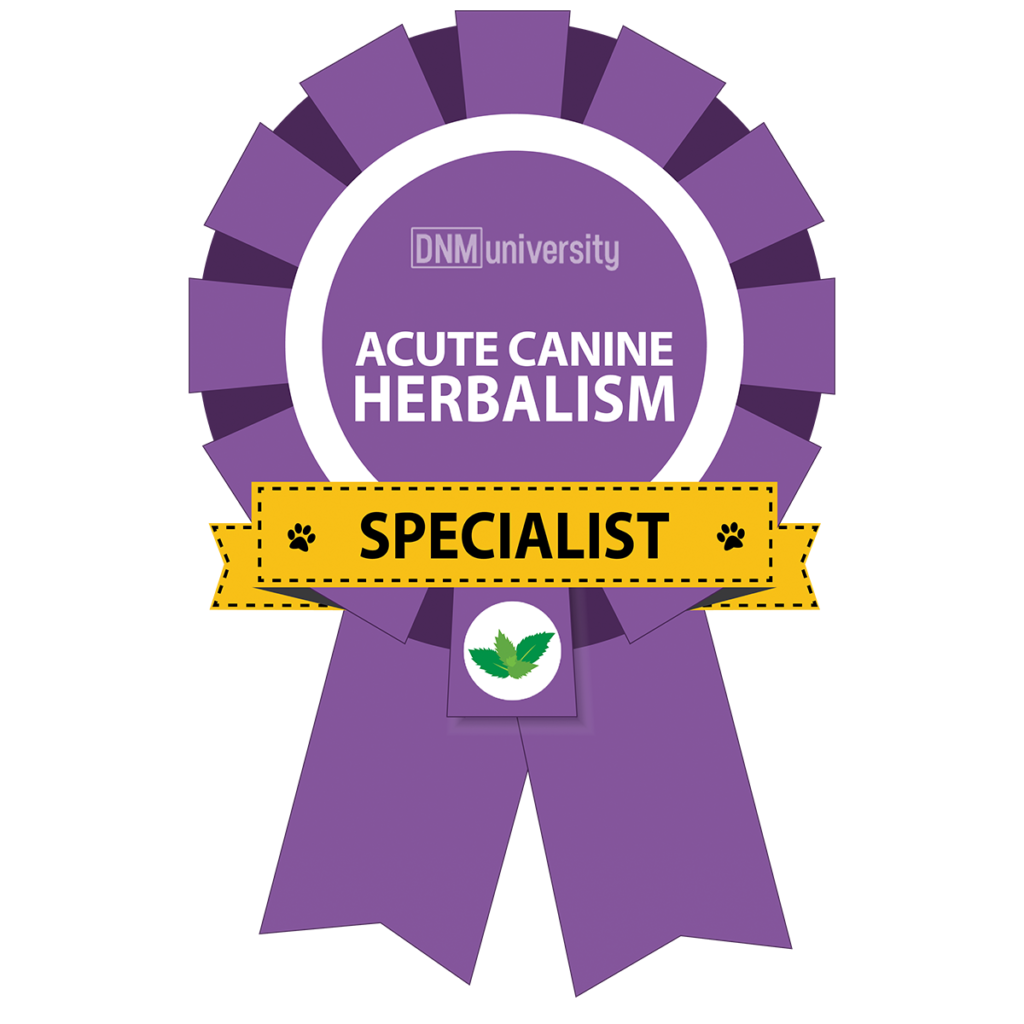 Acute Canine Herbalism Specialist Degree Certificate