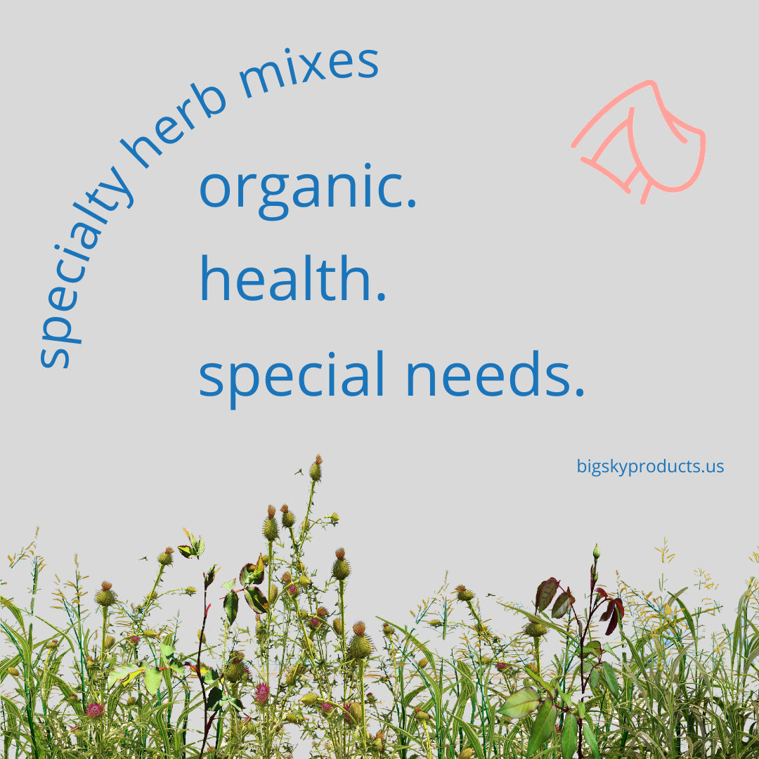 Big Sky Supplements - Specialty Herb Mixes for Dogs 🌿